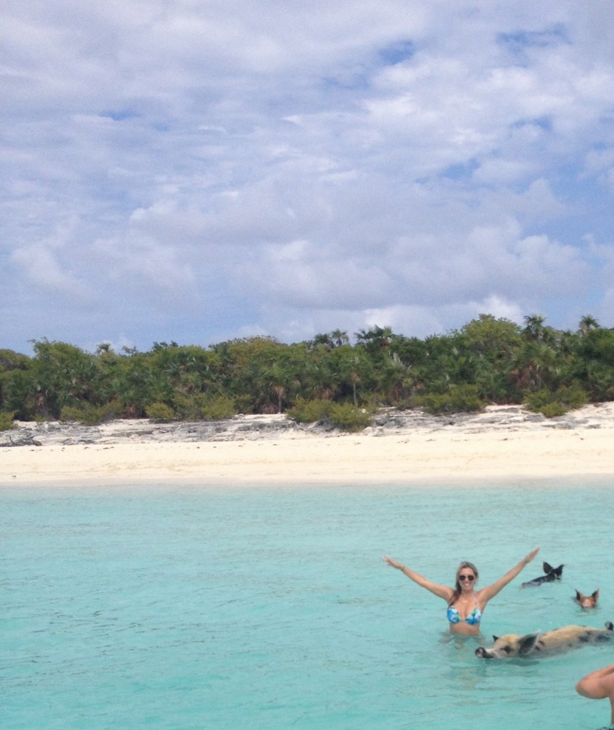 BEST BEACHES TO SEE ANIMALS